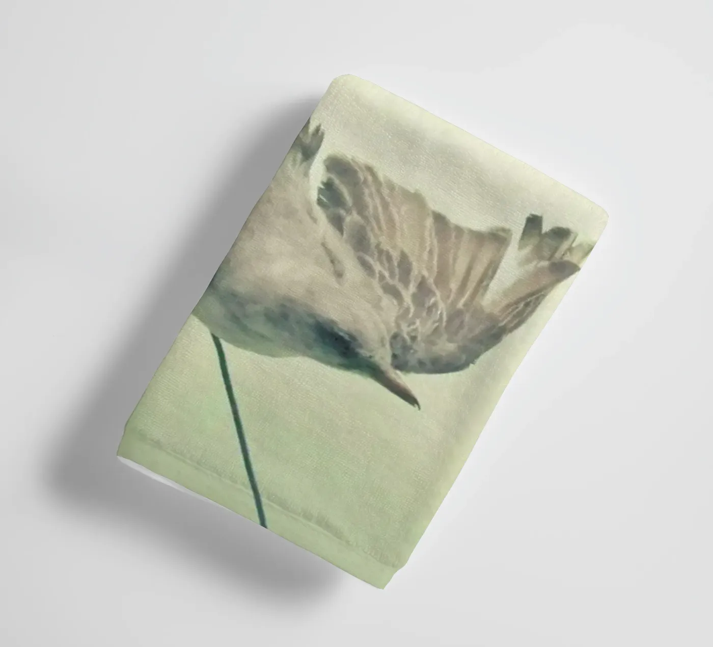 Bird study #1 towel by Cassia Beck Photography