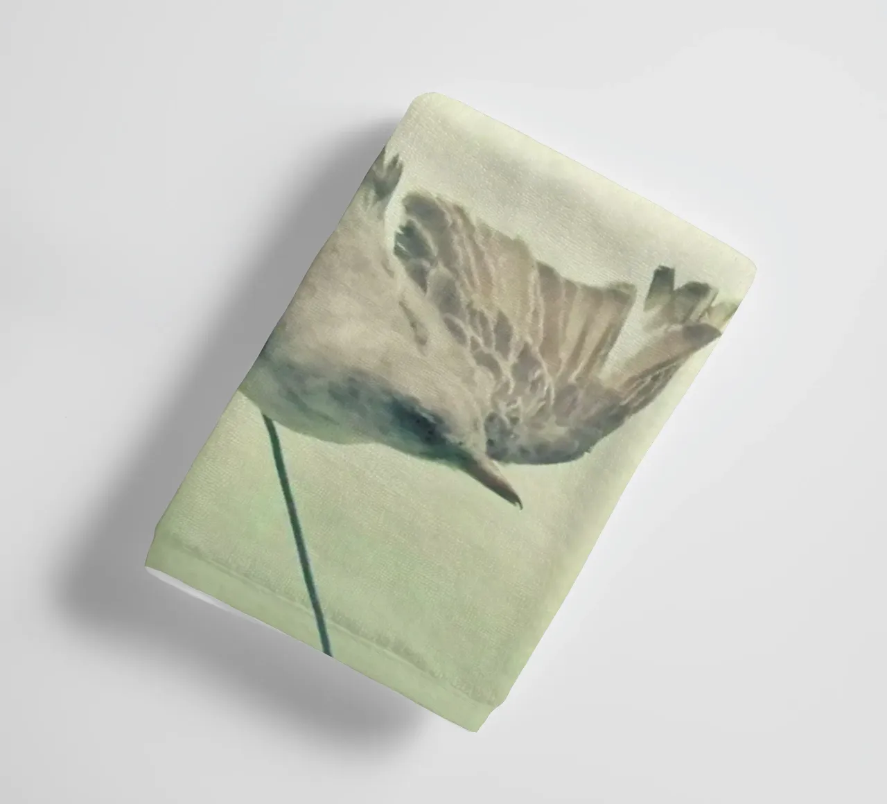 Studio degli uccelli #1 asciugamano da bagno da Cassia Beck Photography