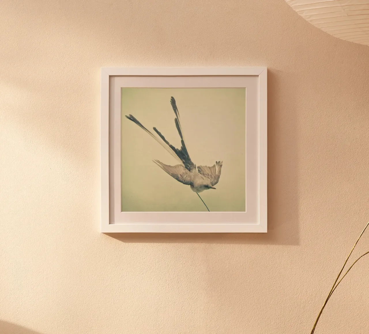 Bird study #1 poster by Cassia Beck Photography