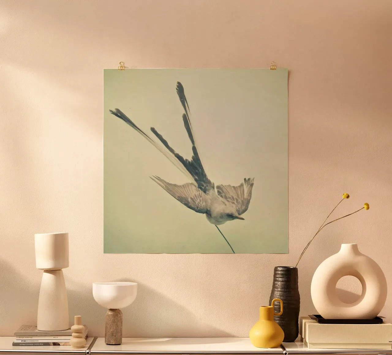 Bird study #1 poster by Cassia Beck Photography