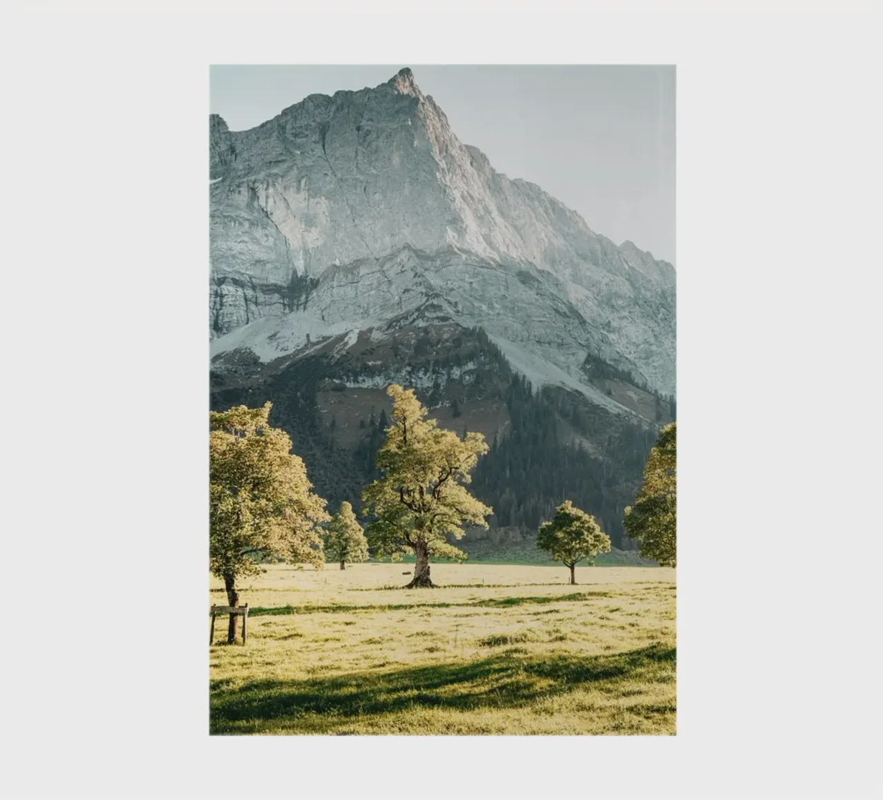 Ahornwald notebook by Flo Klein