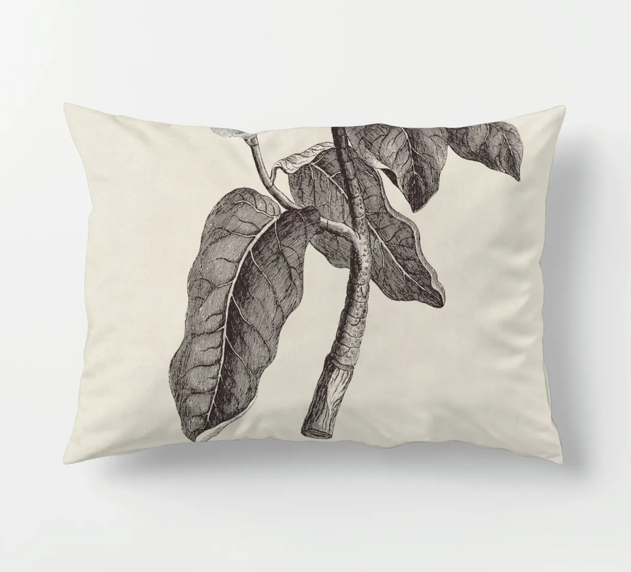 Magnolia Sketch no. 1 cuscino da apoloprints