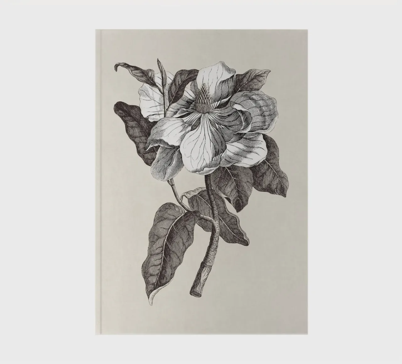 Magnolia Sketch no. 1 notebook by apoloprints