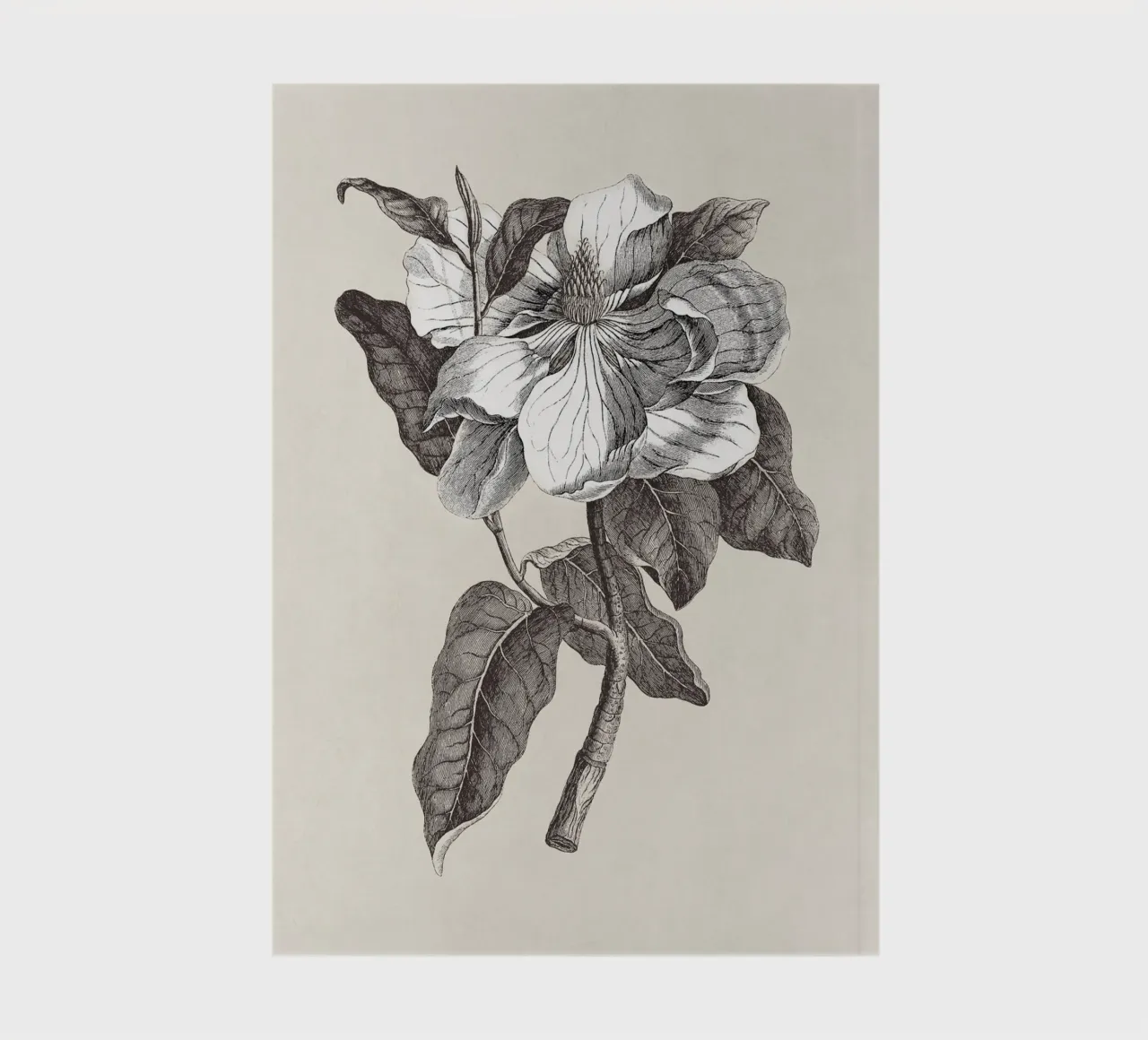 Magnolia Sketch no. 1 notebook by apoloprints