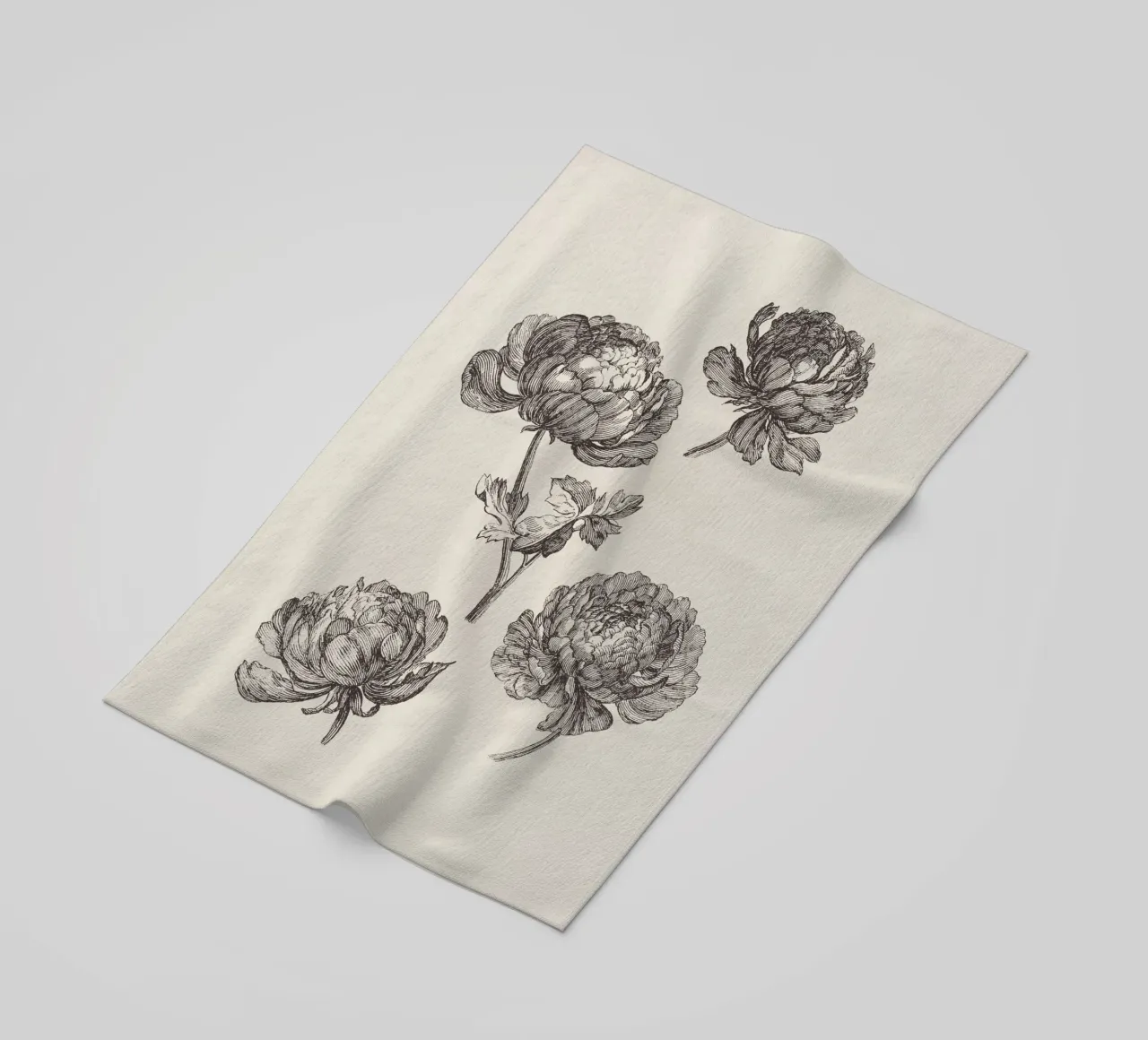 Peonies Sketch no. 1 telo mare da apoloprints