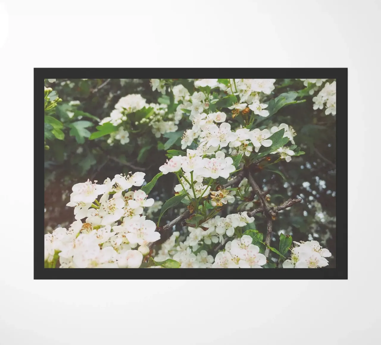 Spring Evening doormat by Cassia Beck Photography
