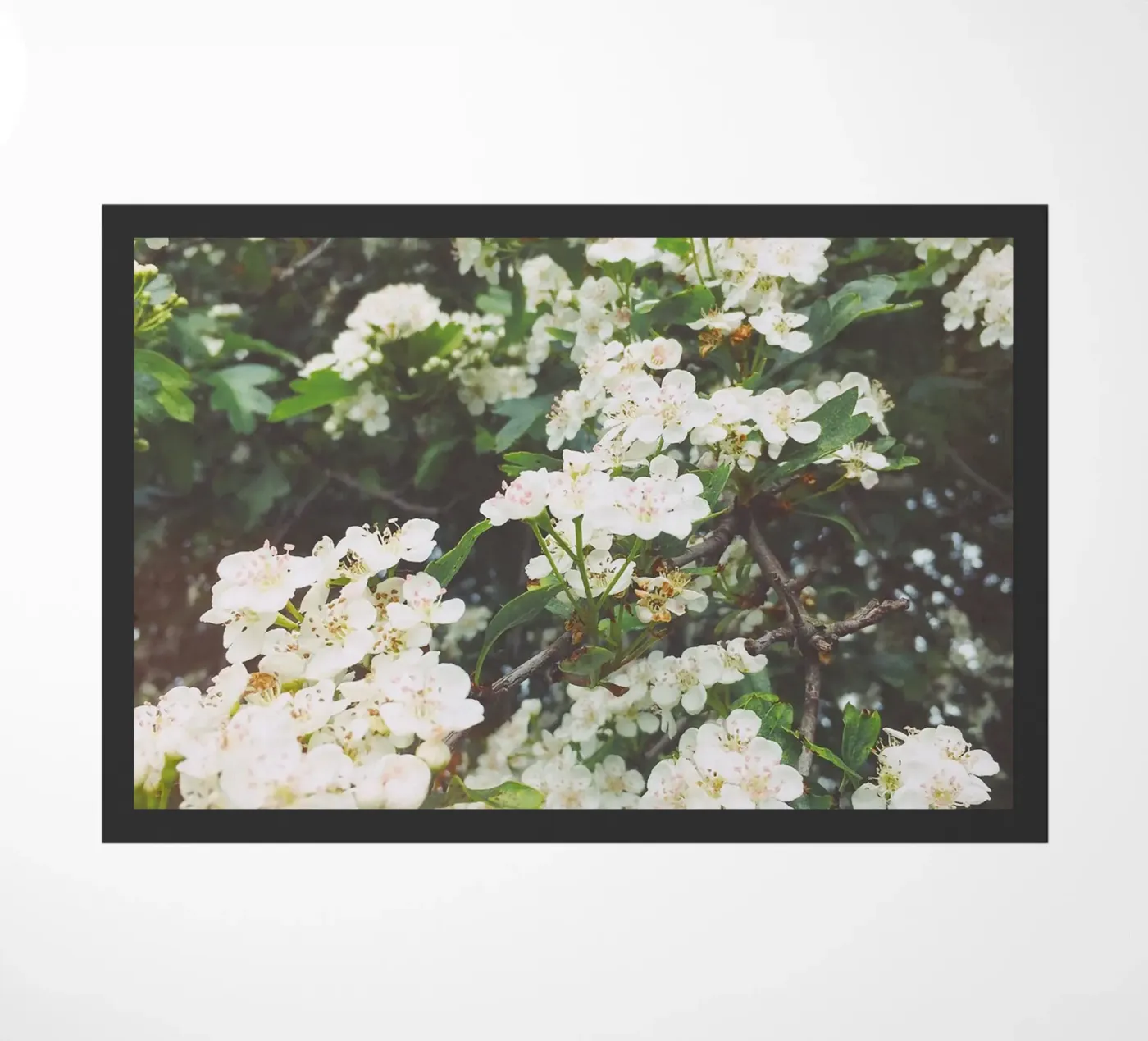 Spring Evening doormat by Cassia Beck Photography