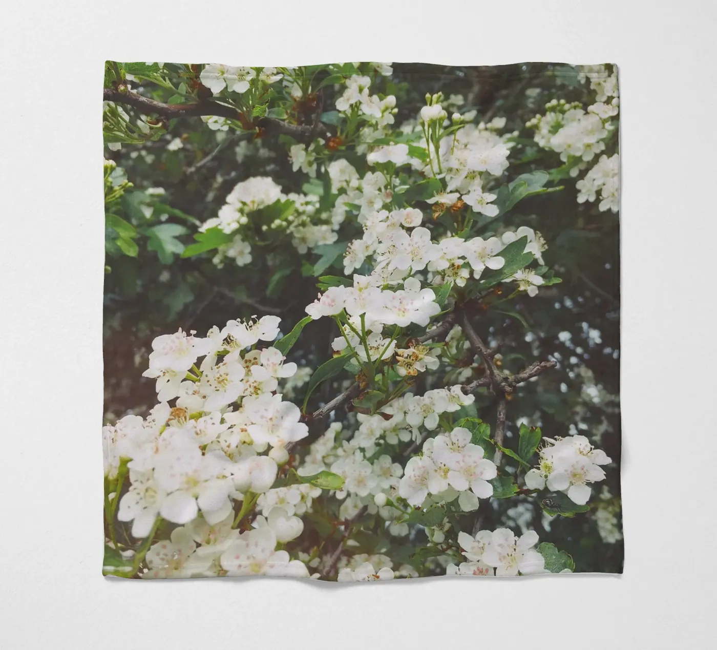 Spring Evening fleece blanket by Cassia Beck Photography