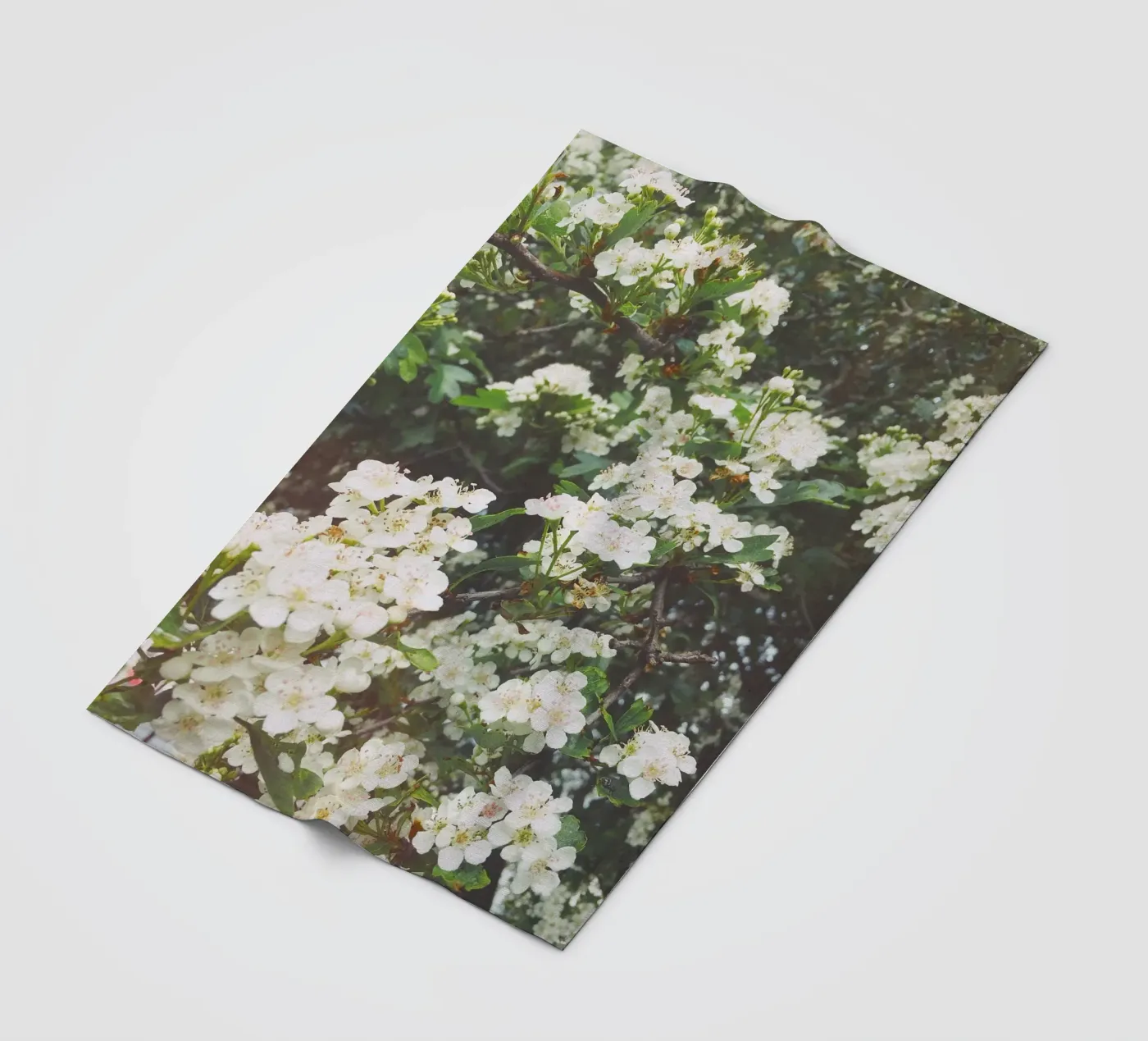 Spring Evening fleece blanket by Cassia Beck Photography