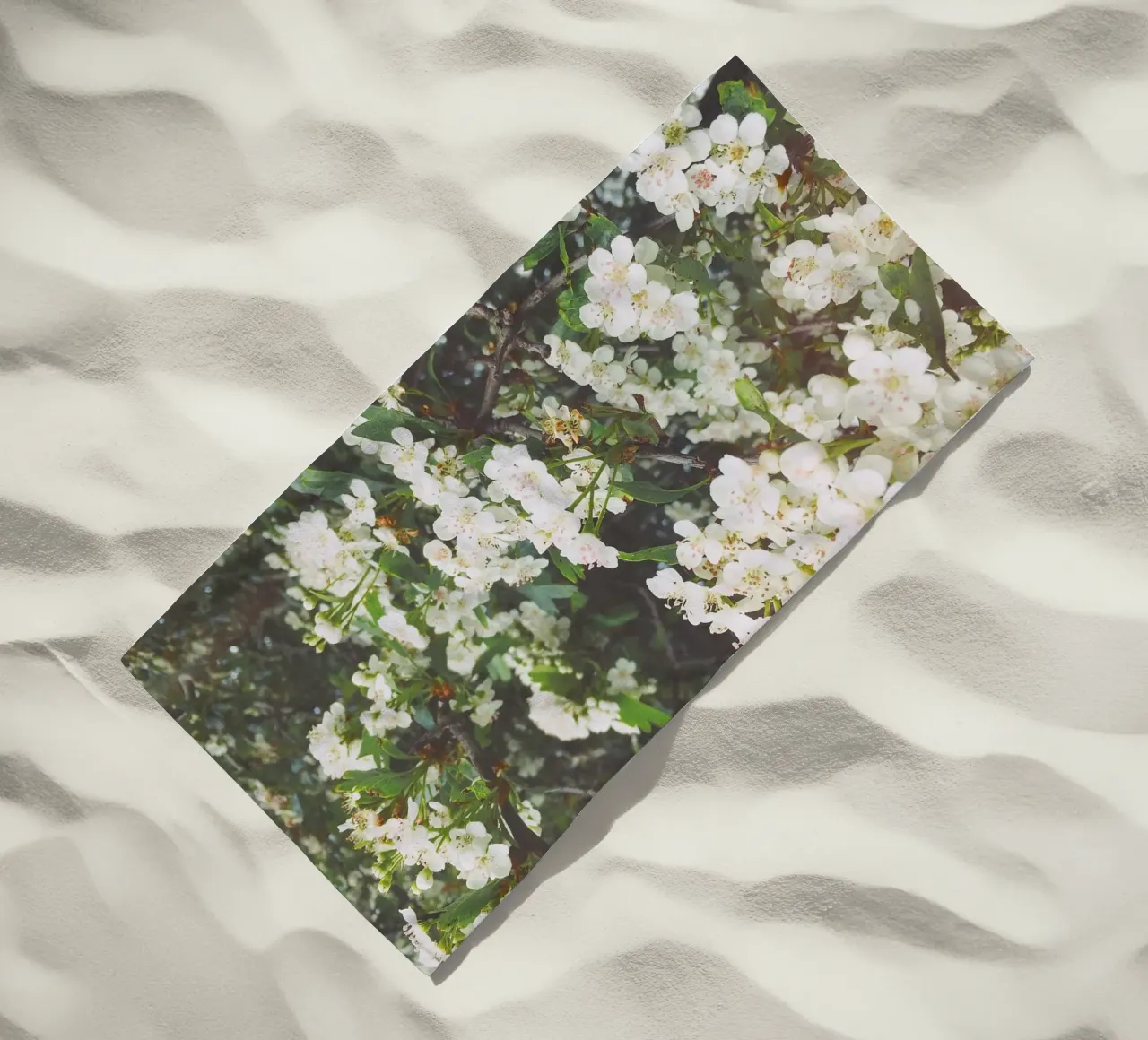 Spring Evening telo mare da Cassia Beck Photography