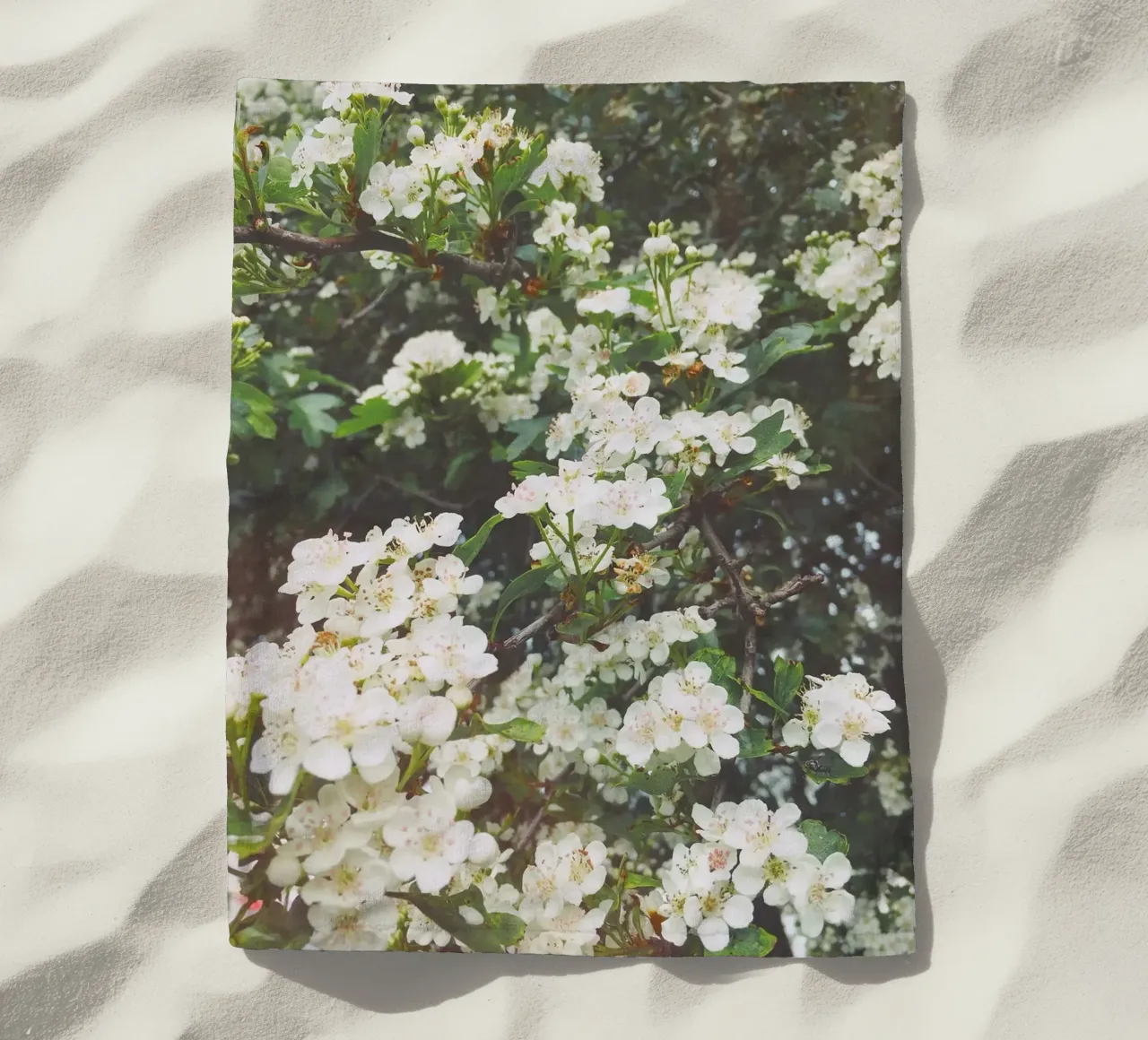 Spring Evening telo mare da Cassia Beck Photography