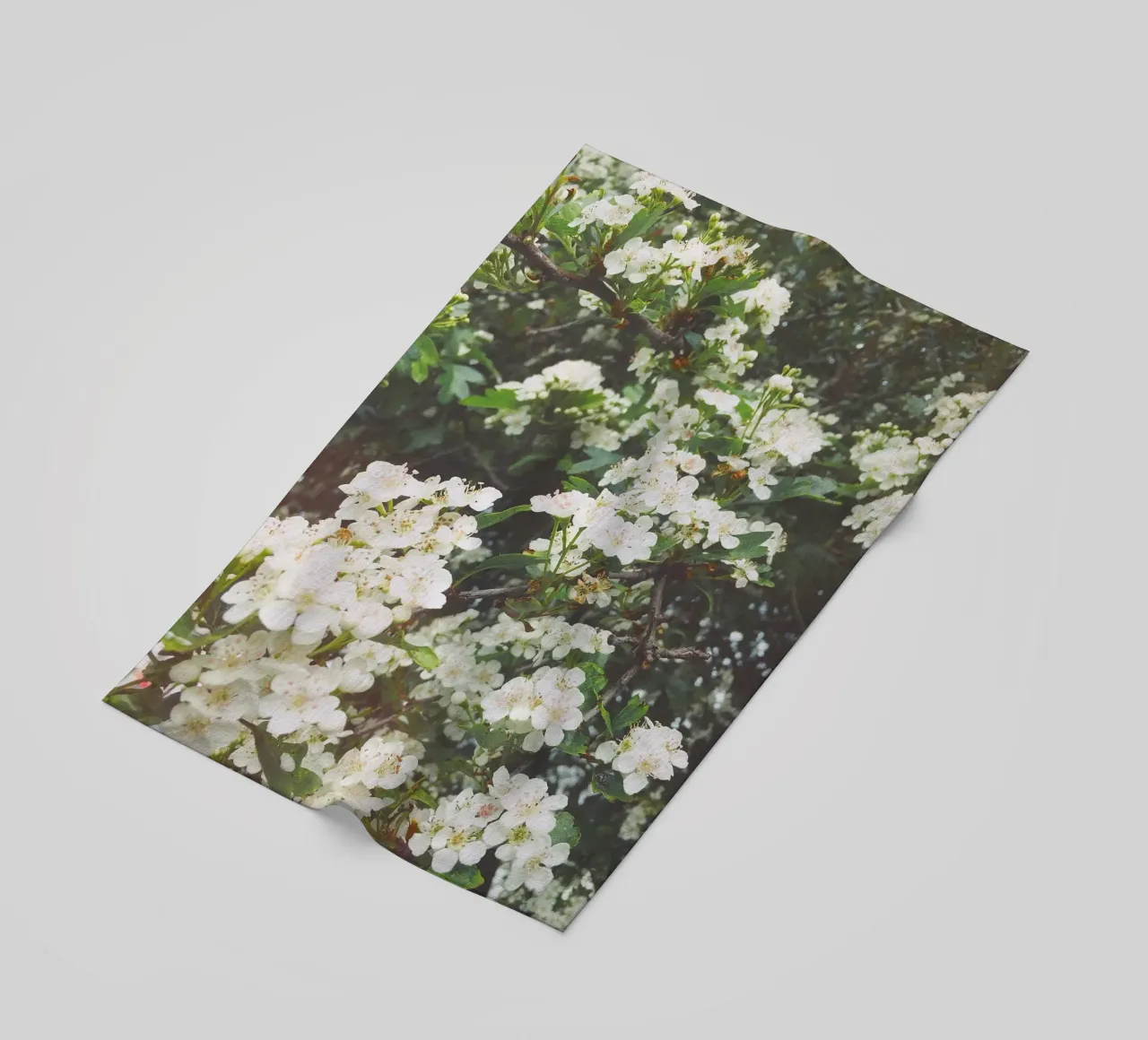 Spring Evening telo mare da Cassia Beck Photography