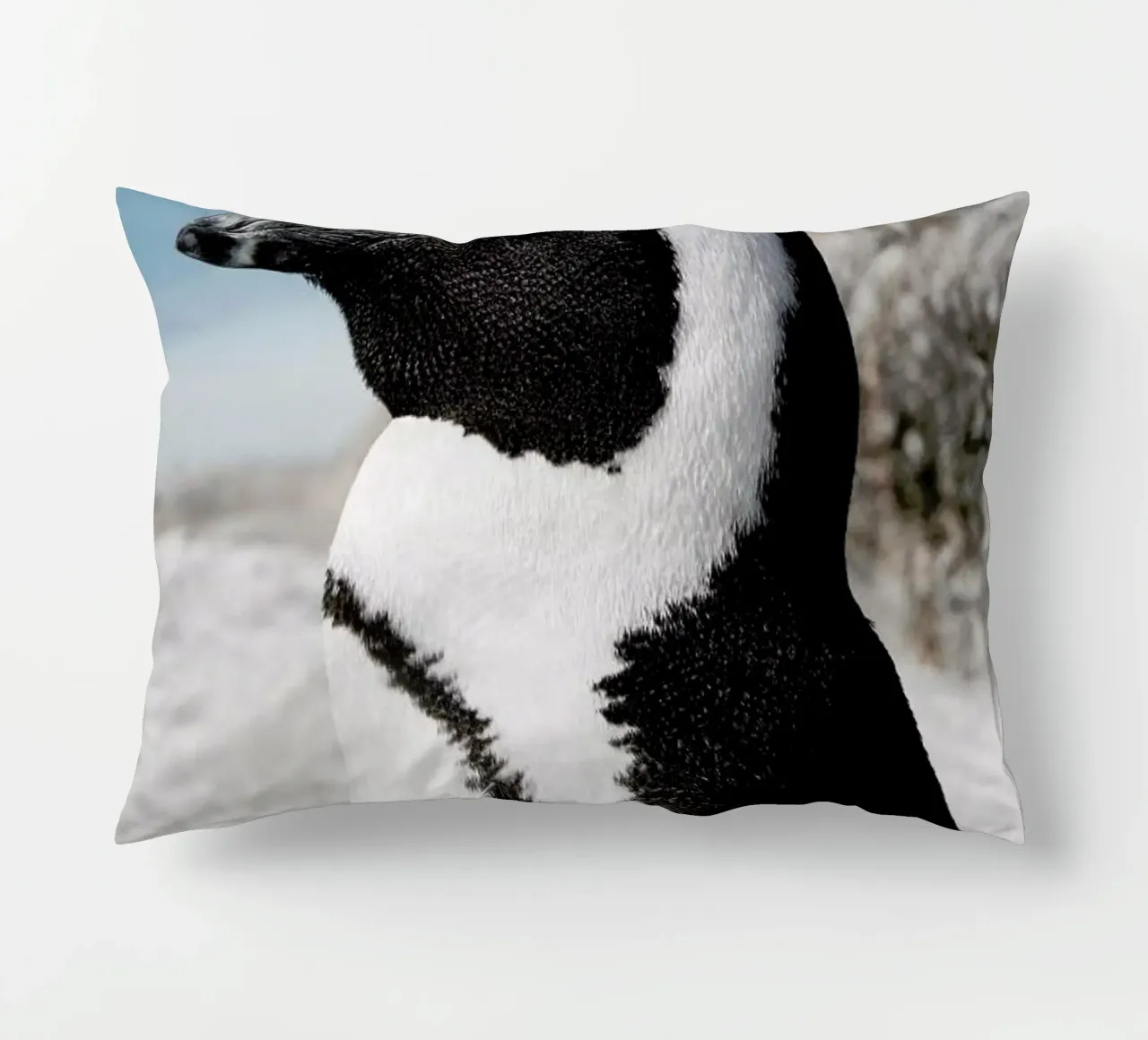 Penguin cuscino da Laura Palm