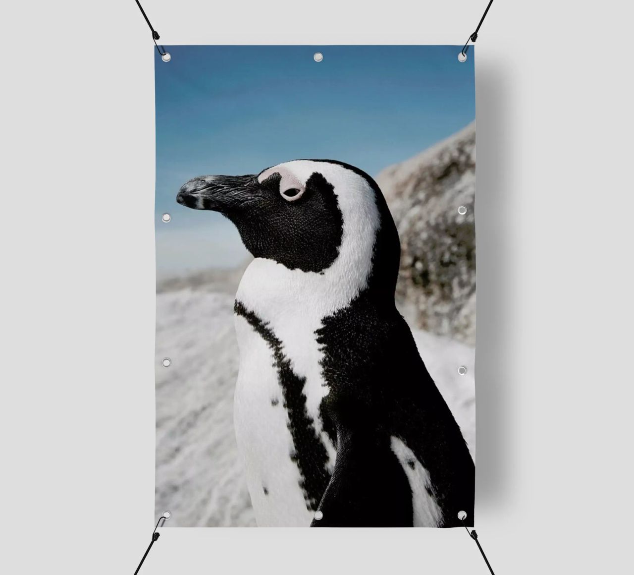 Penguin telo in pvc da Laura Palm