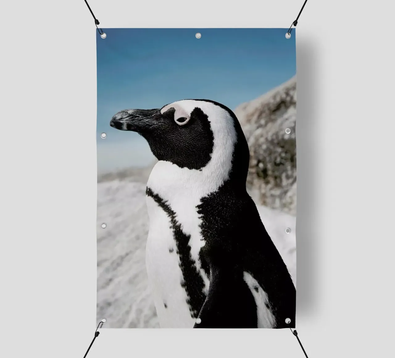 Penguin pvc cover by Laura Palm