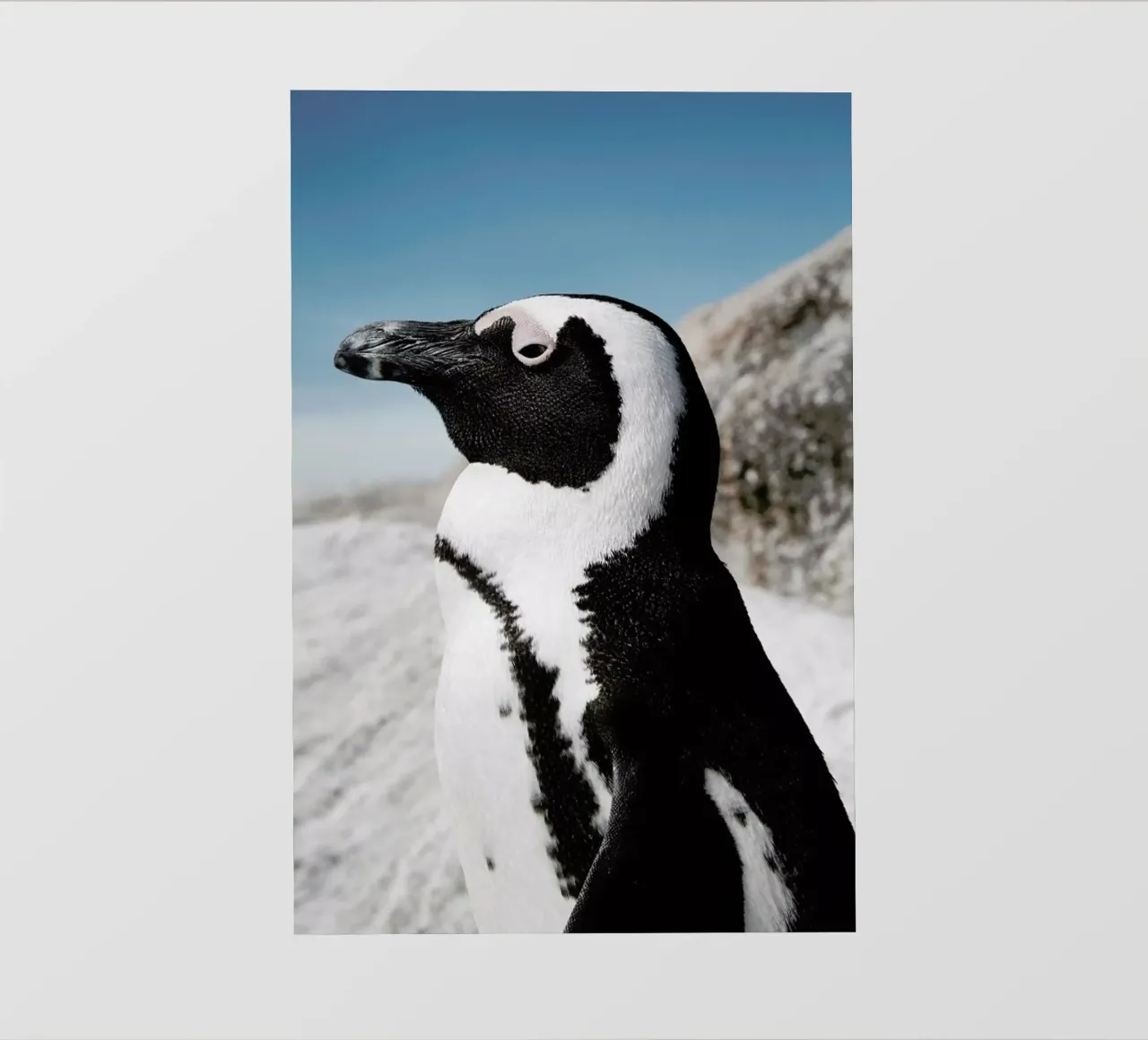 Penguin pvc cover by Laura Palm