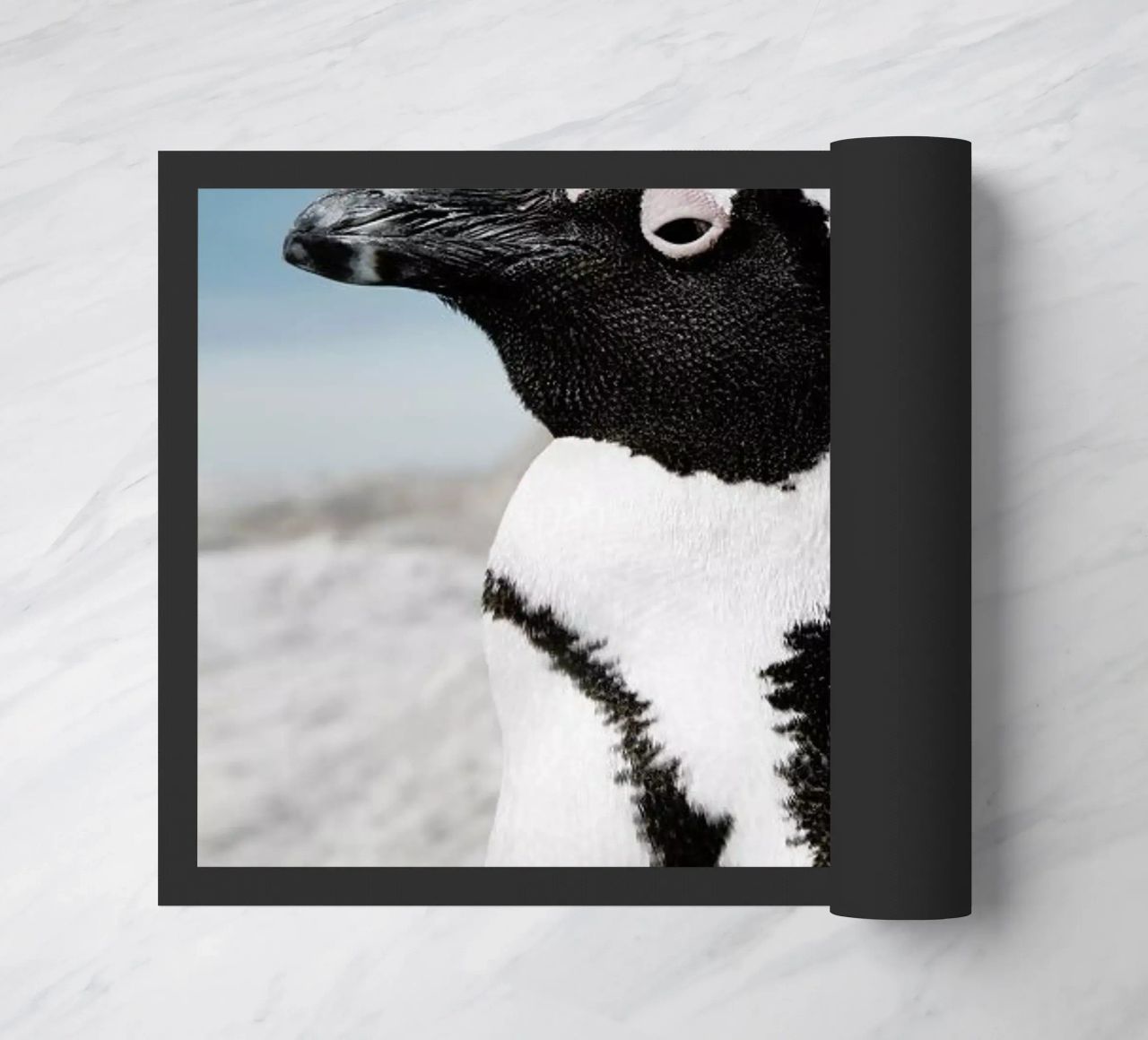 Penguin zerbino da Laura Palm