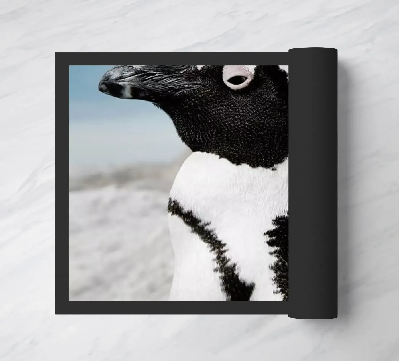 Penguin doormat by Laura Palm