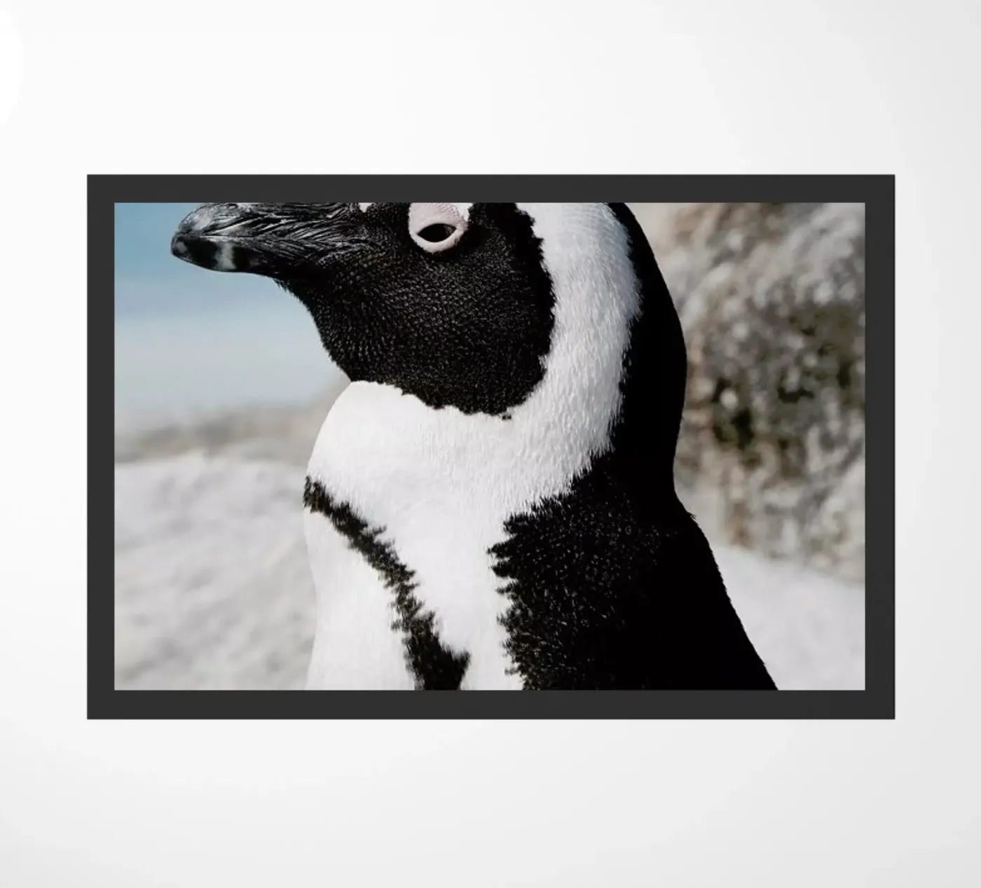 Penguin doormat by Laura Palm