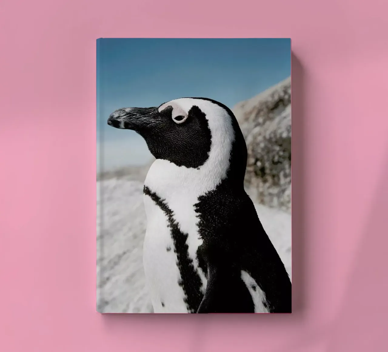 Penguin notebook by Laura Palm