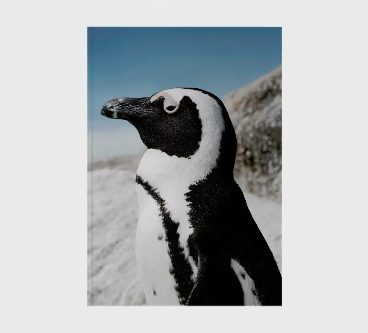 Penguin notebook by Laura Palm