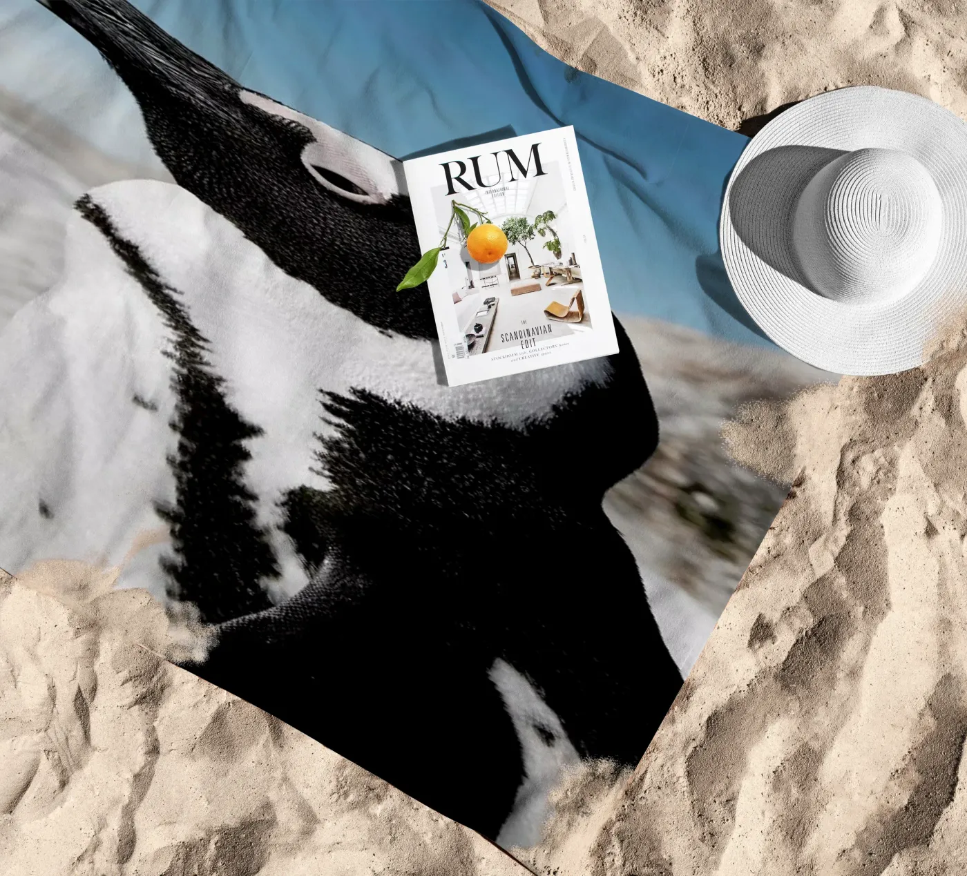 Penguin telo mare da Laura Palm