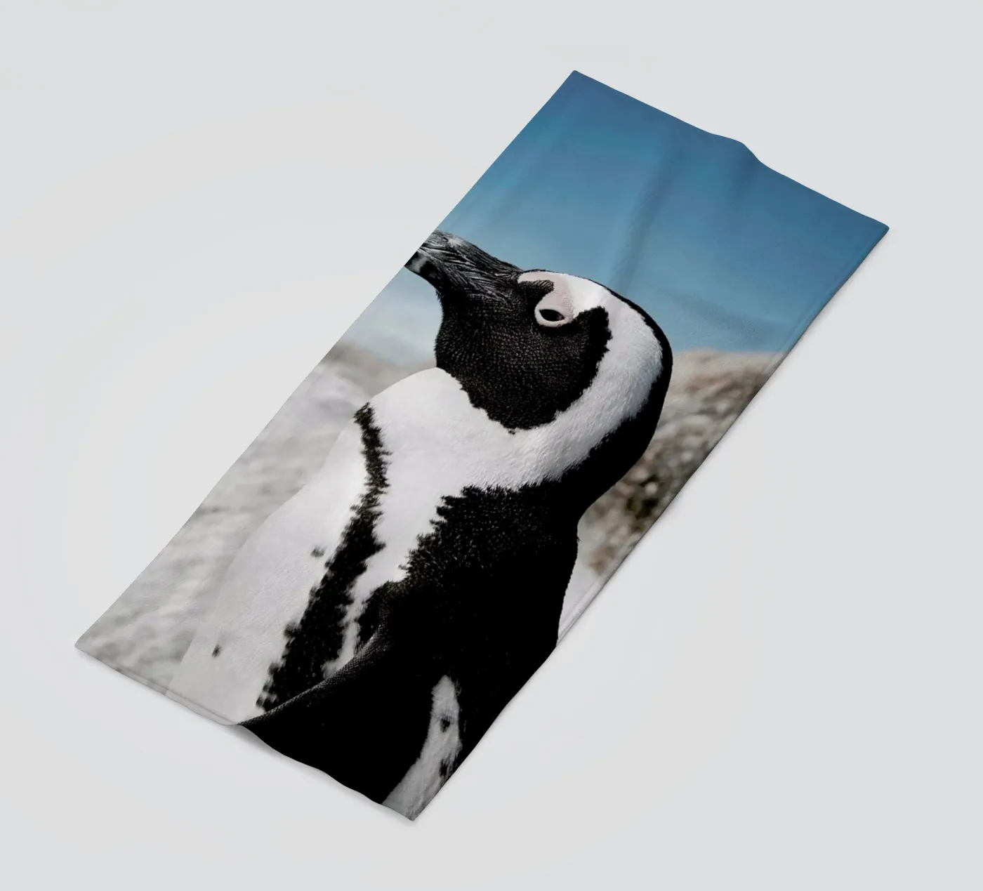 Penguin telo mare da Laura Palm