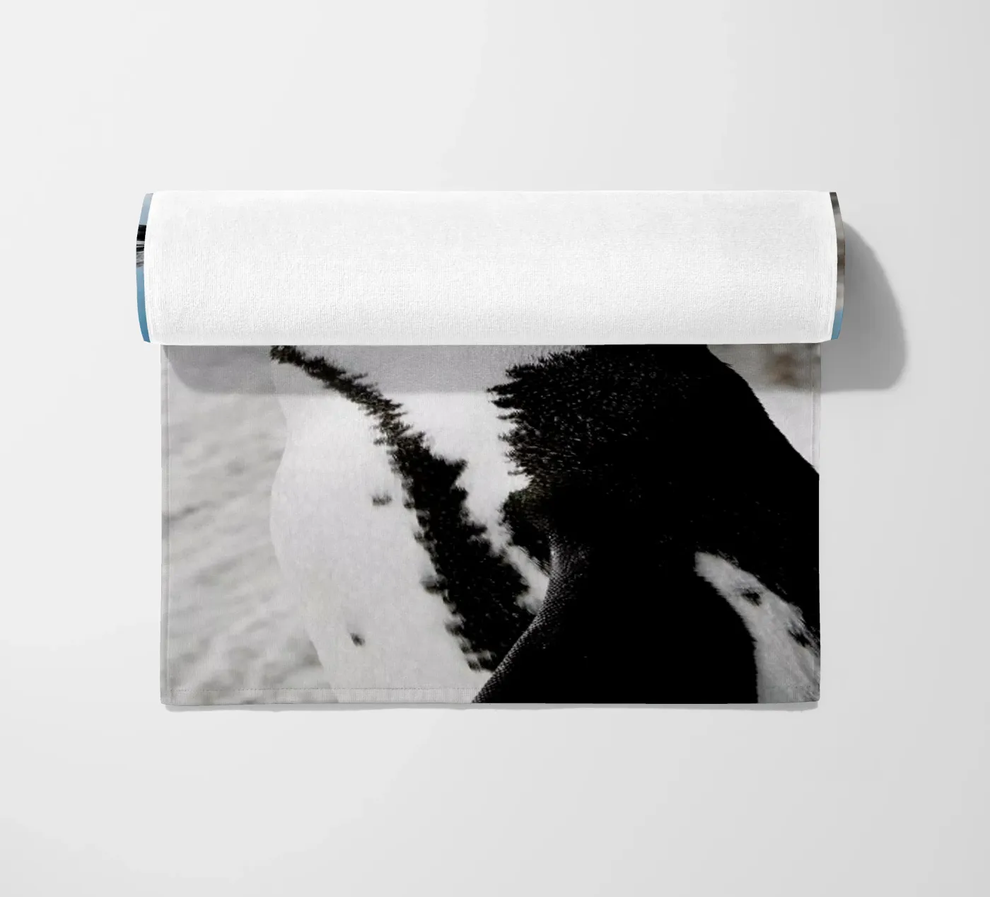 Penguin telo mare da Laura Palm