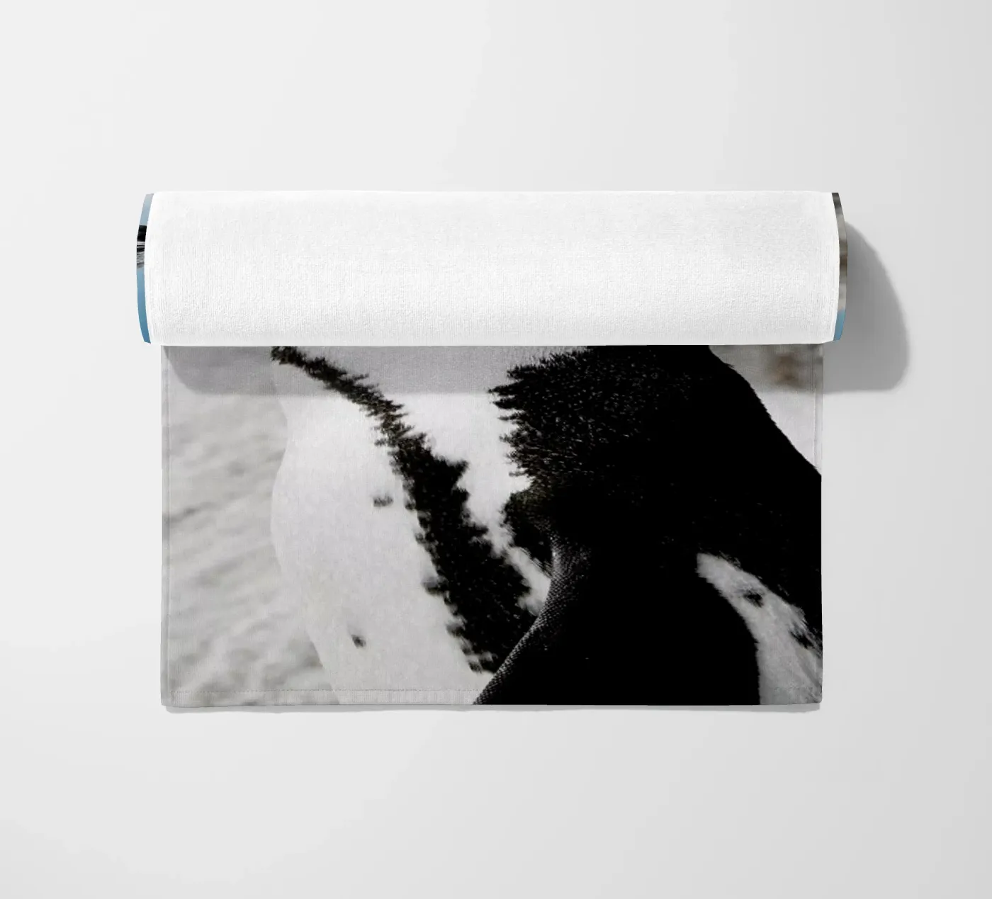 Penguin telo mare da Laura Palm