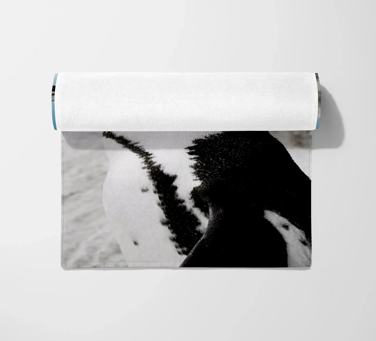 Penguin telo mare da Laura Palm