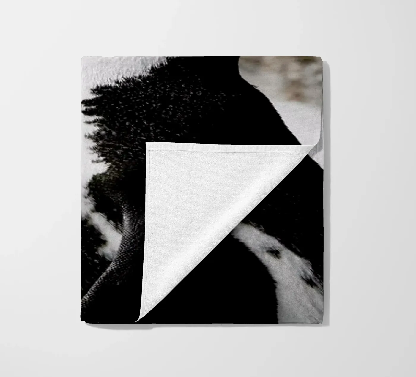 Penguin telo mare da Laura Palm