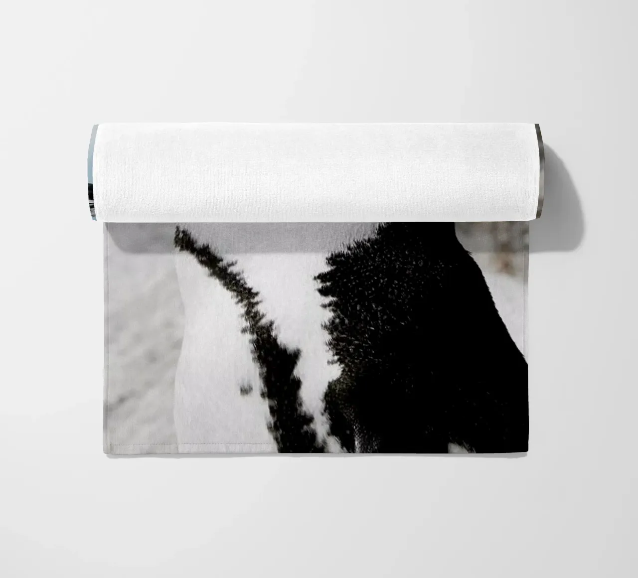 Penguin telo mare da Laura Palm