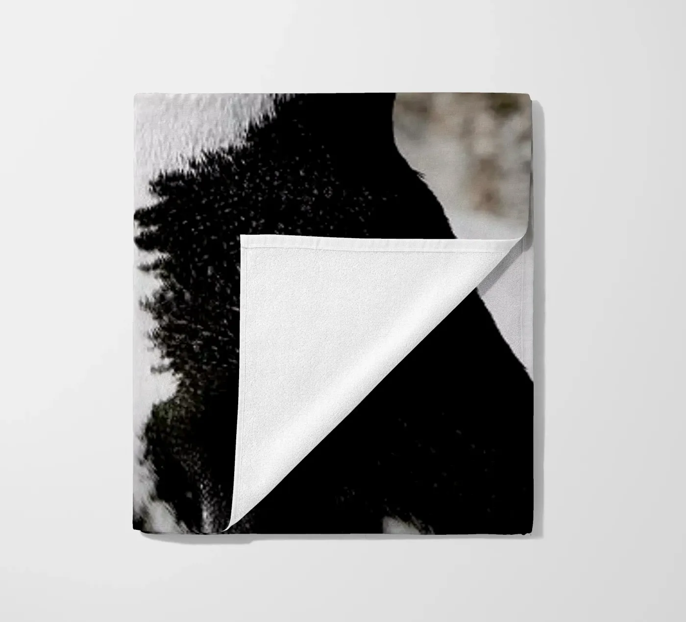 Penguin telo mare da Laura Palm