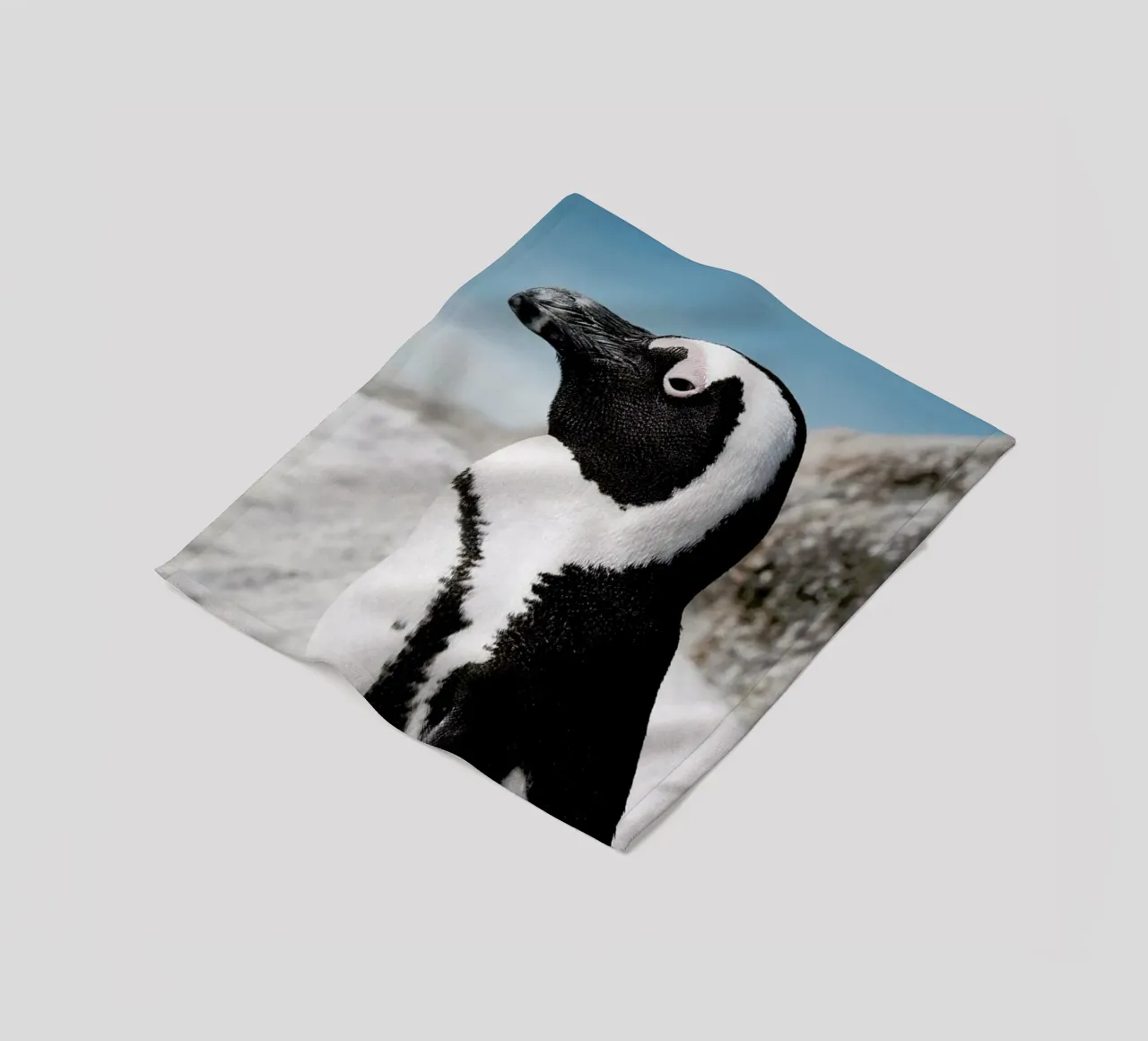 Penguin coperta in pile da Laura Palm