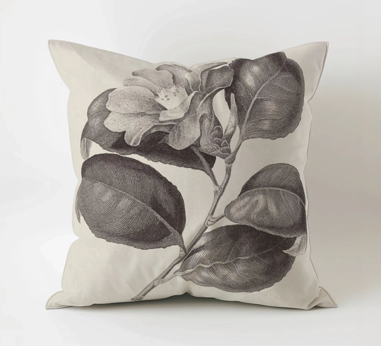 Camellia Sketch no. 1 cuscino da apoloprints