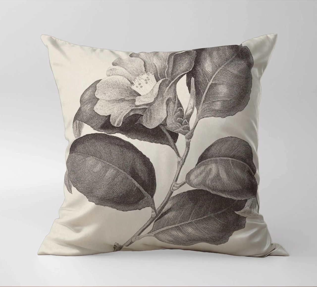 Camellia Sketch no. 1 cuscino da apoloprints