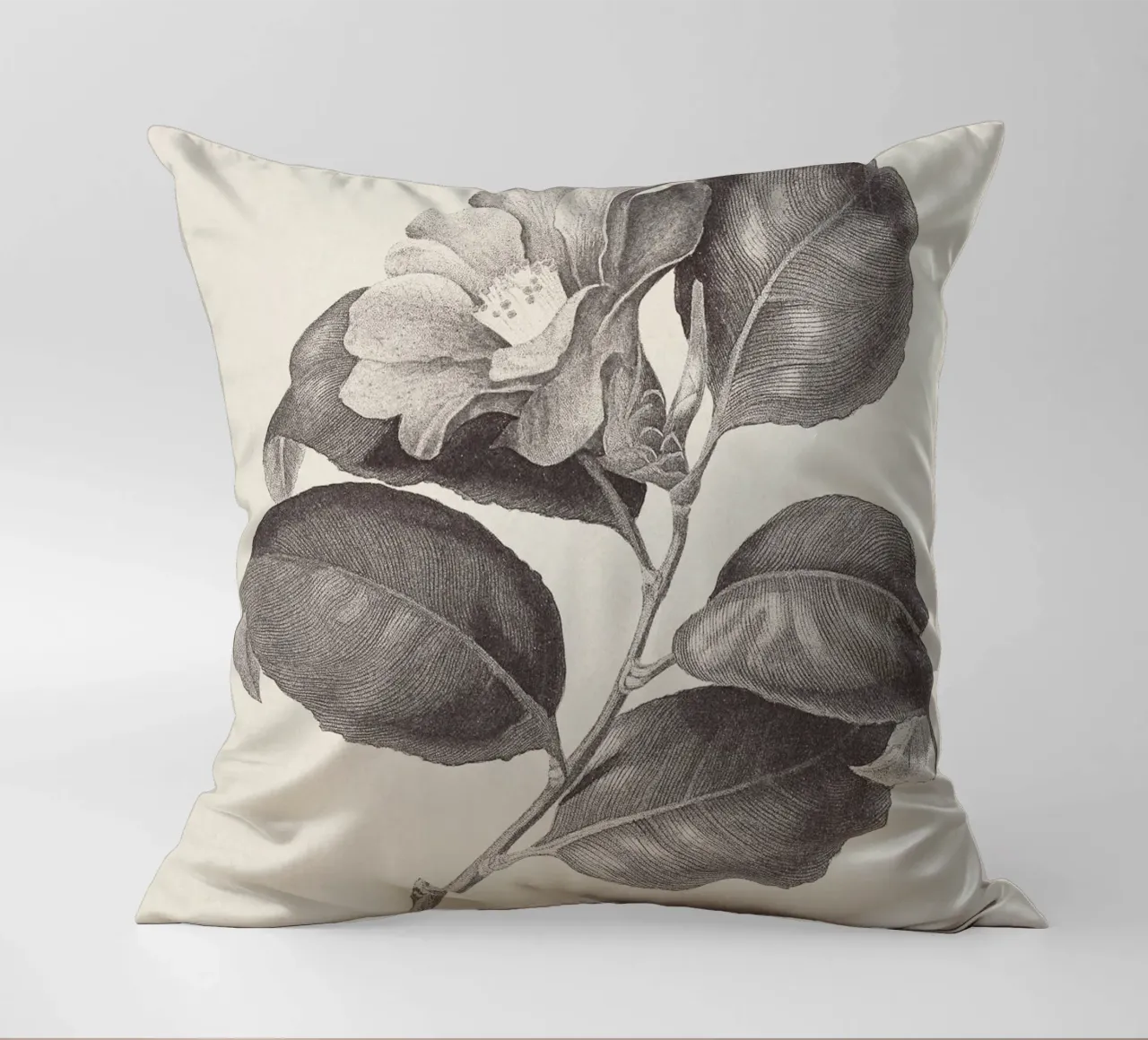 Camellia Sketch no. 1 cuscino da apoloprints