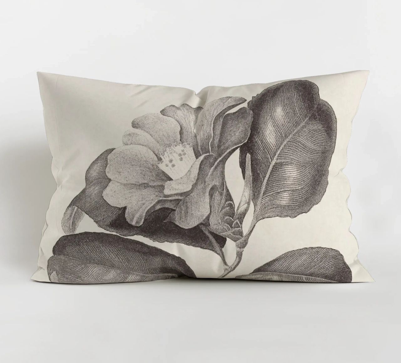 Camellia Sketch no. 1 cuscino da apoloprints