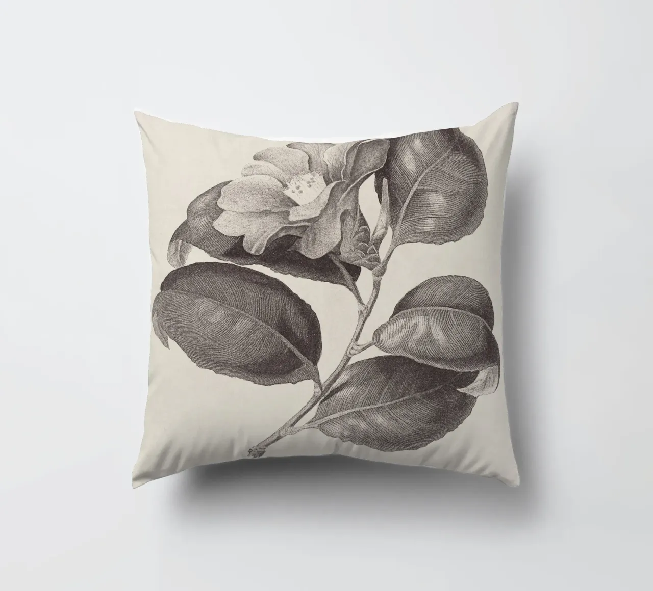 Camellia Sketch no. 1 cuscino da apoloprints