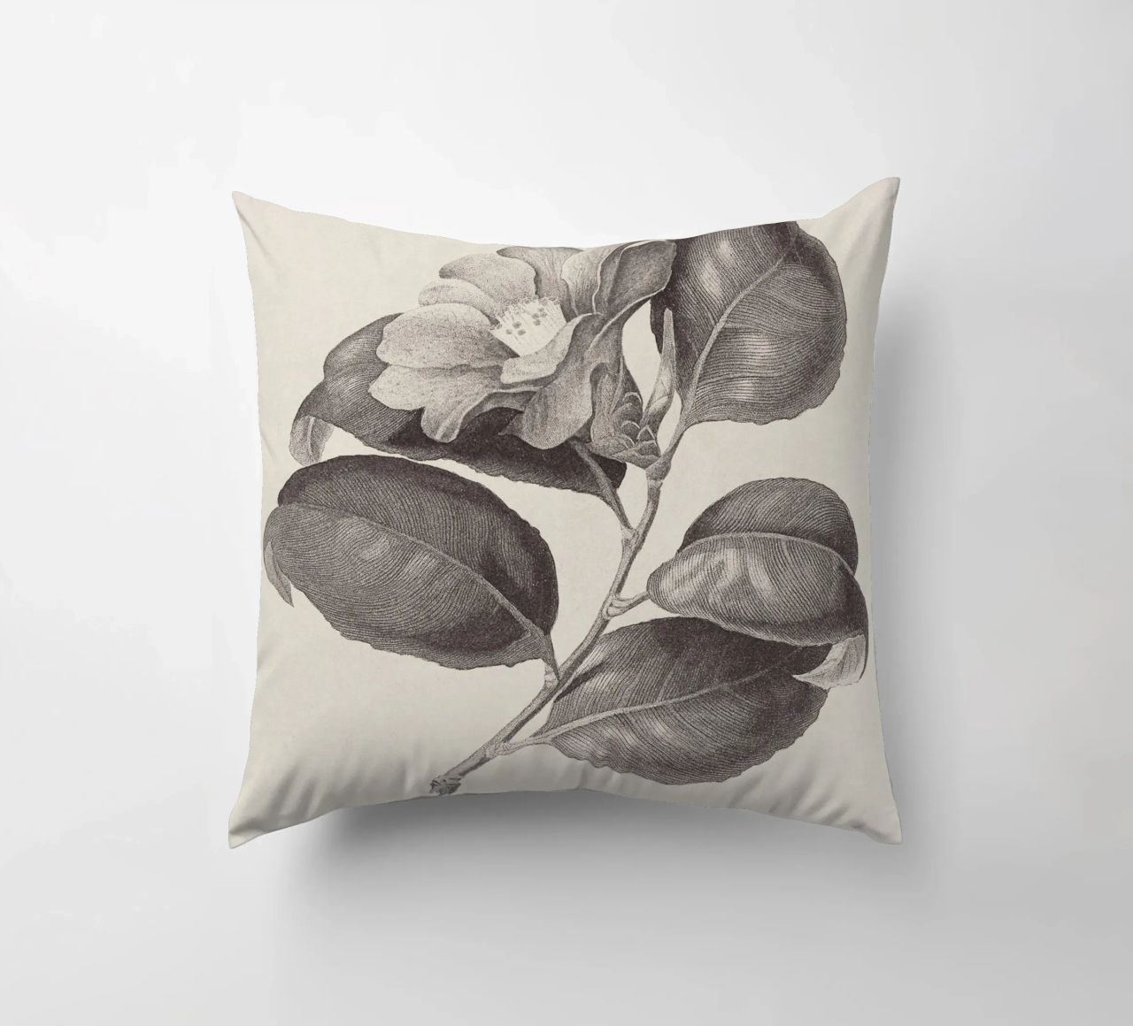 Camellia Sketch no. 1 cuscino da apoloprints