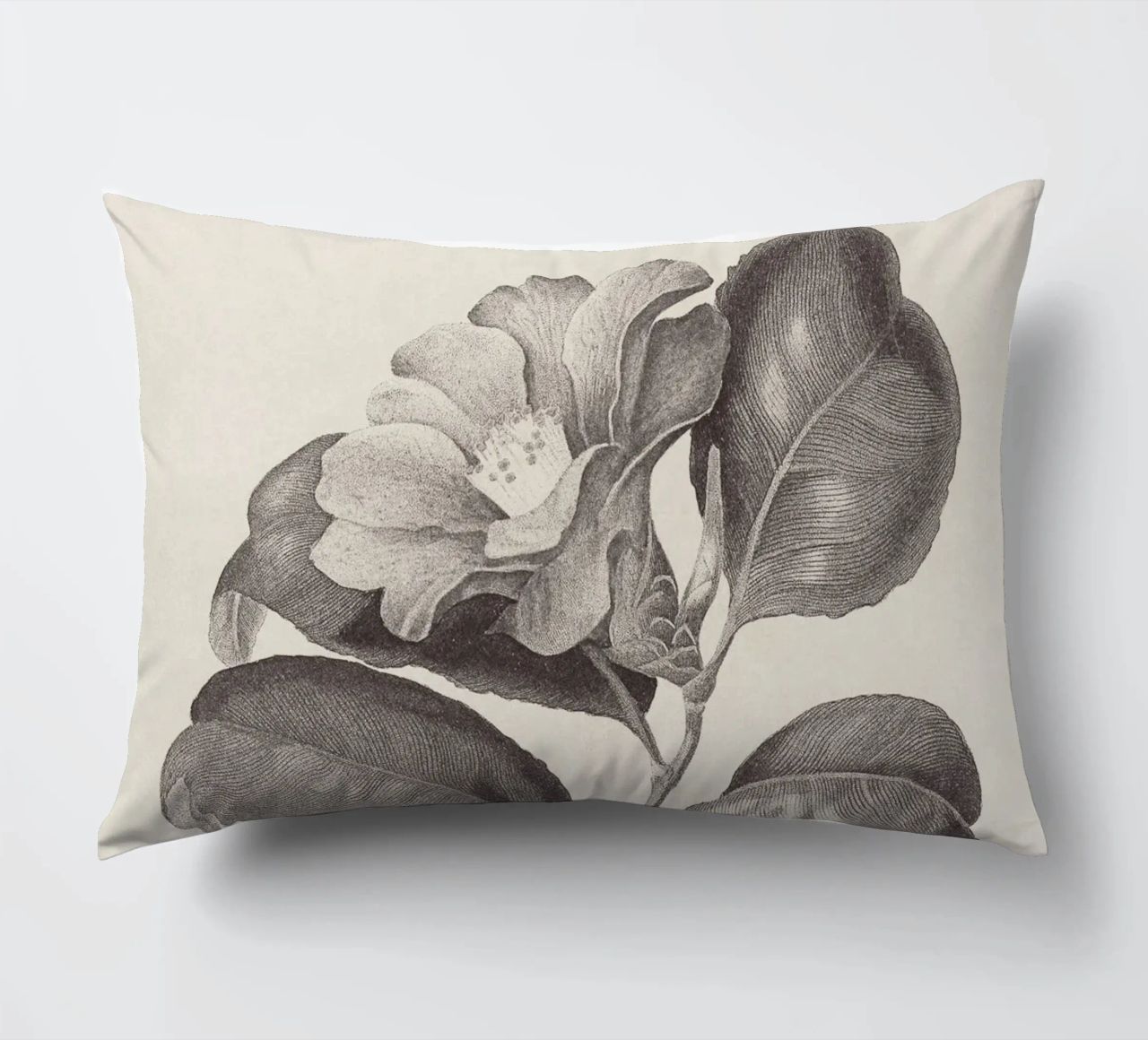 Camellia Sketch no. 1 cuscino da apoloprints