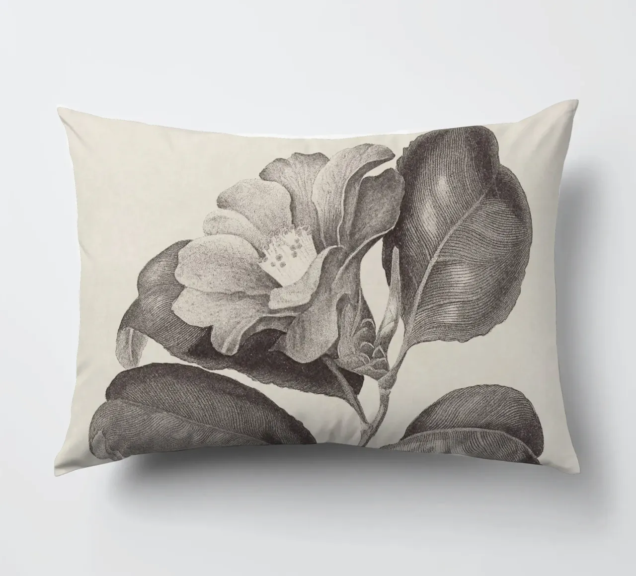 Camellia Sketch no. 1 cojín de apoloprints