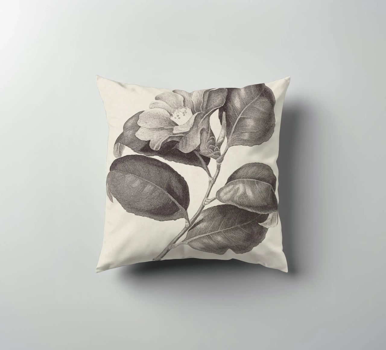Camellia Sketch no. 1 cuscino da apoloprints