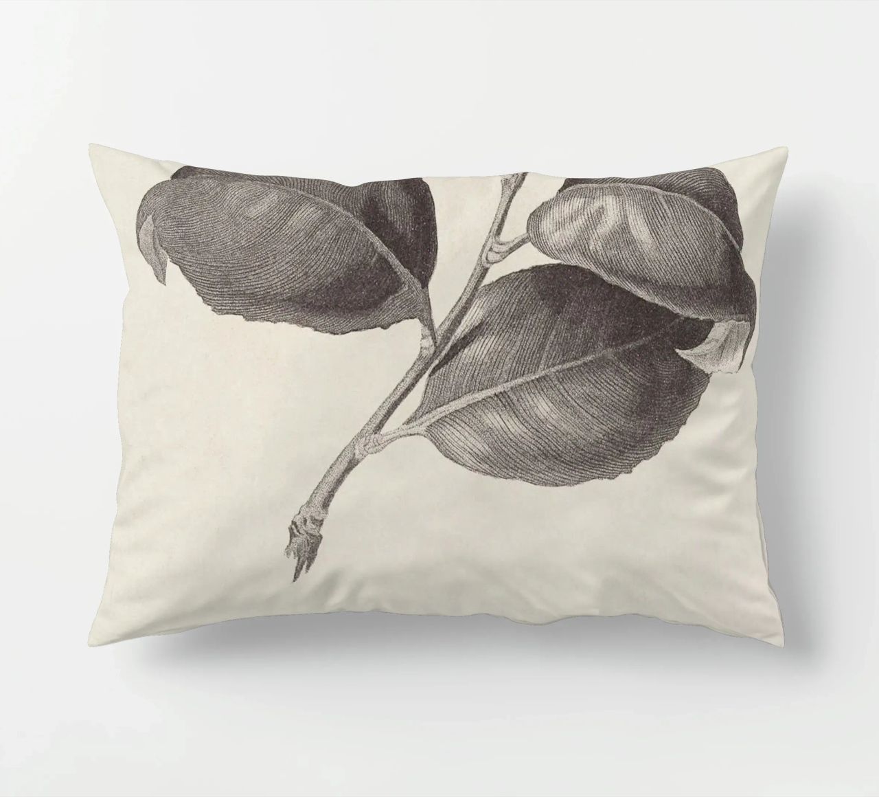 Camellia Sketch no. 1 cuscino da apoloprints