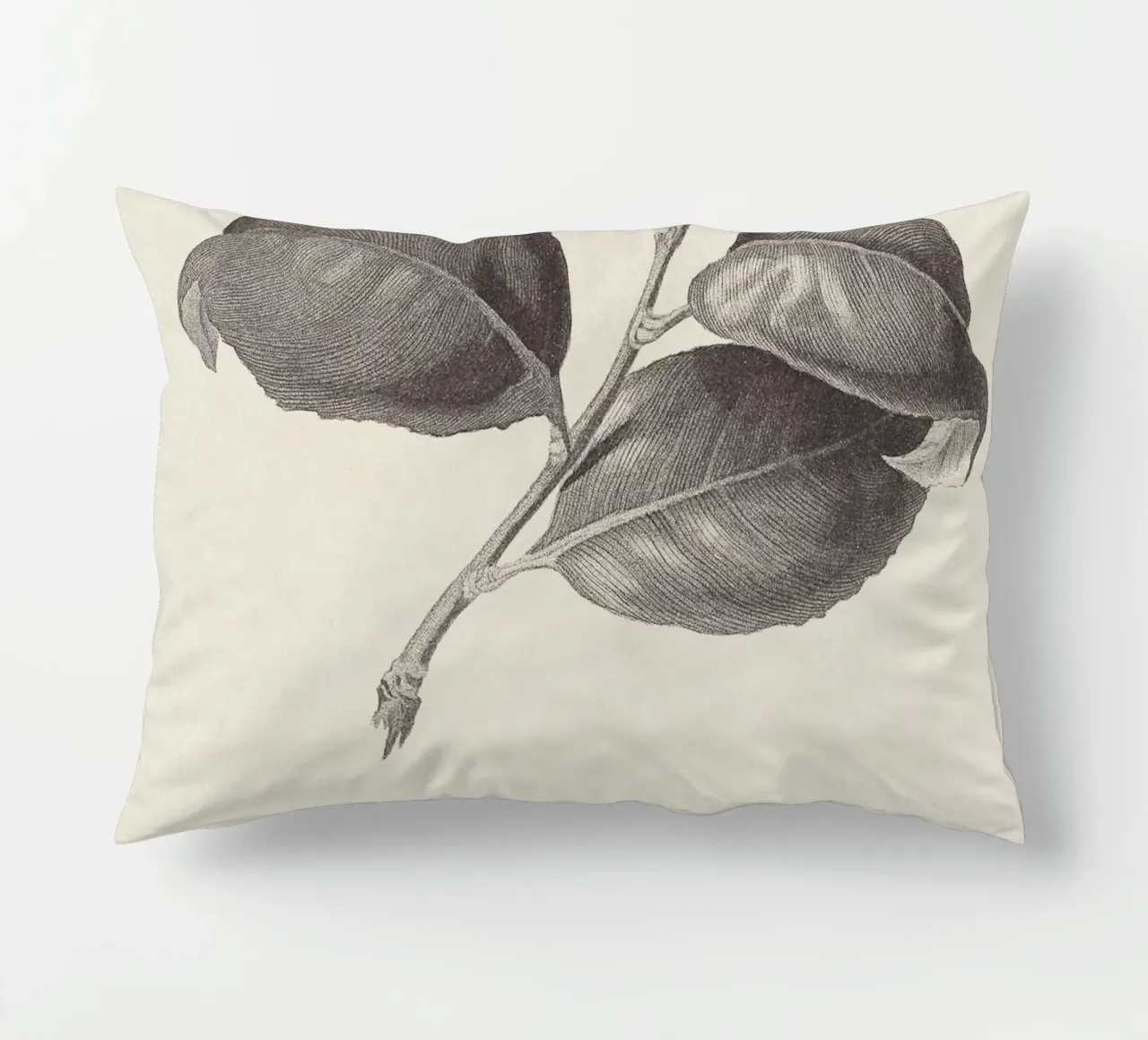 Camellia Sketch no. 1 cuscino da apoloprints