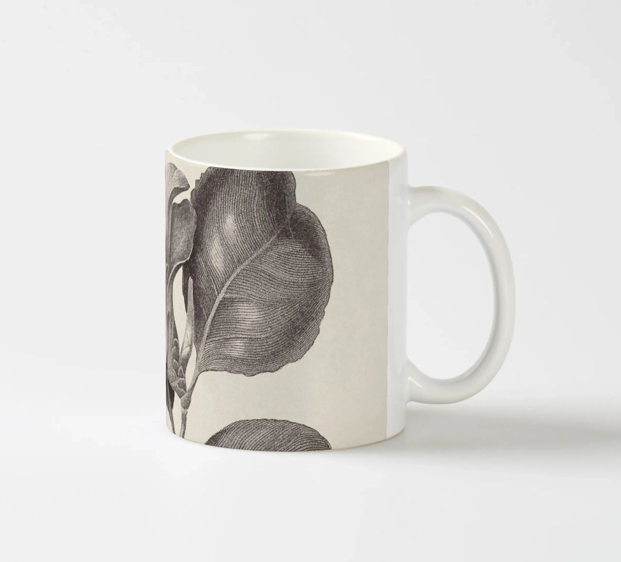 Camellia Sketch no. 1 tazza in ceramica da apoloprints