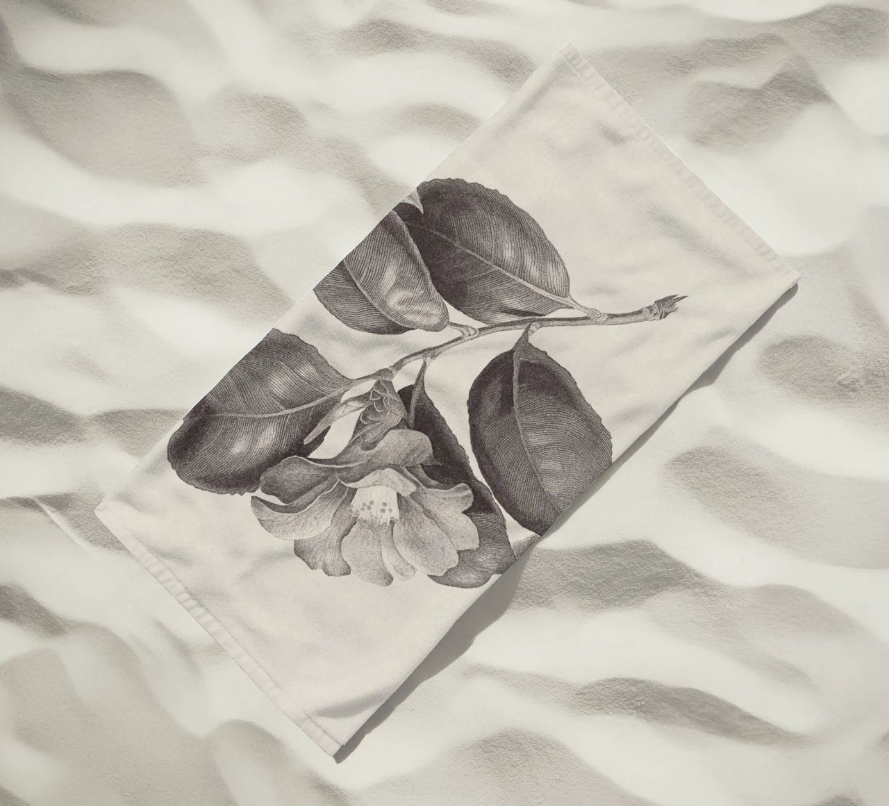 Camellia Sketch no. 1 telo mare da apoloprints