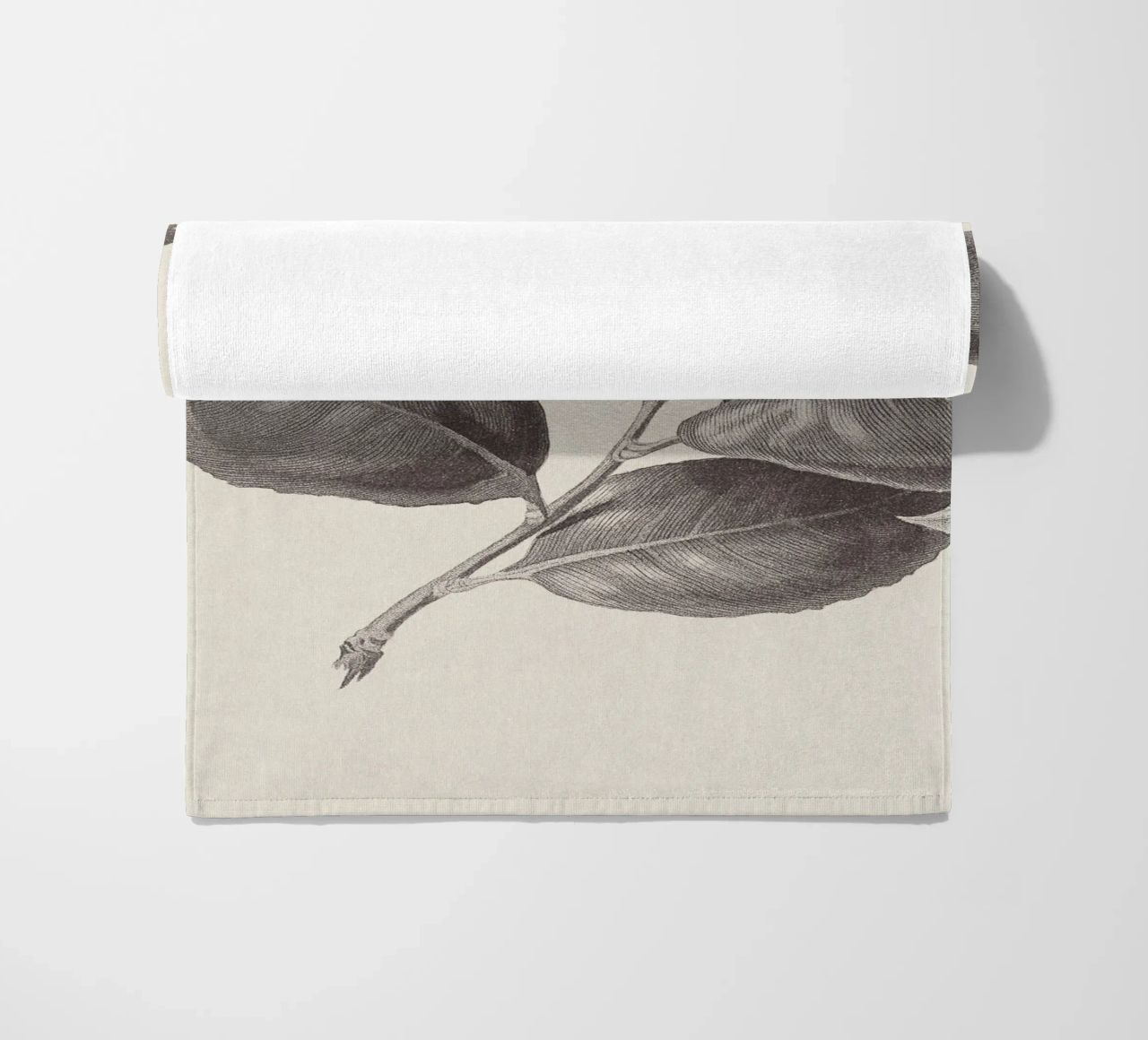 Camellia Sketch no. 1 telo mare da apoloprints