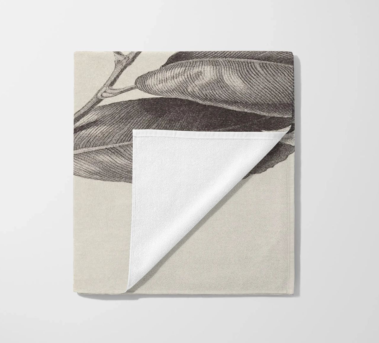 Camellia Sketch no. 1 telo mare da apoloprints