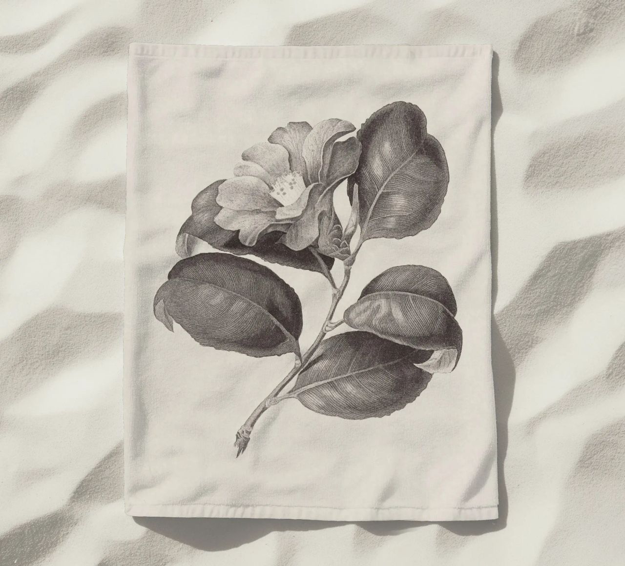 Camellia Sketch no. 1 telo mare da apoloprints
